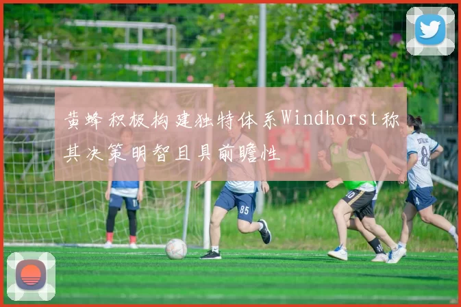 黄蜂积极构建独特体系Windhorst称其决策明智且具前瞻性