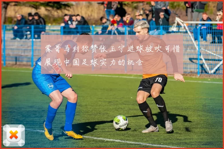 蒙哥马利称赞张玉宁进球被吹可惜展现中国足球实力的机会